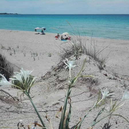 Curti Salento